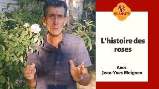 L'histoire des roses