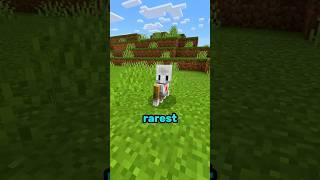 Minecraft’s *SECRET* Mob 