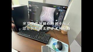 突发事件汤圆昨晚带着小汤圆遛弯被车撞了