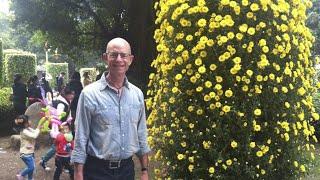 Expat: Zhongshan is a perfect place for me