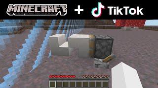 Minecraft TikTok Compilation 1 [Redberet Edition]