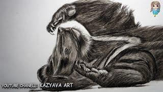 Нарисовать Гималайского медведя углем. Kazyava Art