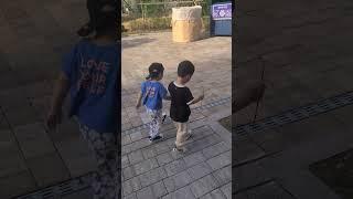 이런 귀여운 친구들을 보았나 #육아 #일상 #30개월 #손잡은거왜이리귀엽지 #쏘큐트 #shorts