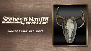 How to Create Artificial Barnwood | Taxidermy Supply | Scenes-n-Nature®