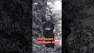first element in the Atthanggiko Maggo #buddha #motivation #dhamma #love #nature #youtubeshorts