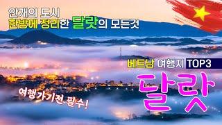 베트남 속 작은 유럽! 봄의도시 달랏! [한편정리] 여행가기전 필수!