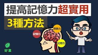 提高記憶力超實用的3個方法！