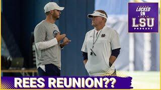 LSU Assistant Leaving For Houston | Brian Kelly, Tommy Rees Reuinion With Tigers?