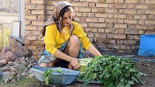 Rural Life: Cooking Delicious Celery Stew and Making Homemade Pickles