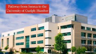 Pathway from Seneca to the University of Guelph-Humber