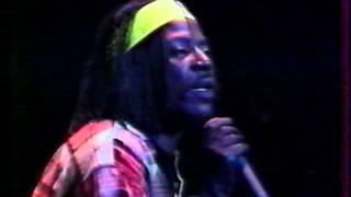 Alpha Blondy- Live aux Eurockéennes Belfort- 03 juillet 1992