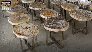 Petrified Wood Bali Furniture Store