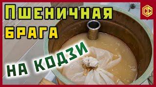 Брага на пшенице и Китайских кодзи. Самогон из пшеницы