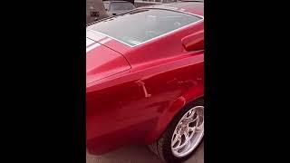 #mustang 