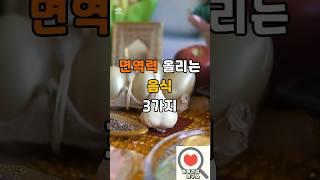 매일 실천하는 건강 습관: 면역력 강화 음식 3가지