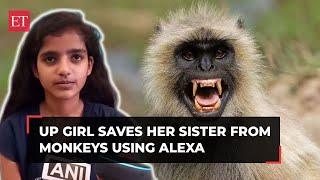 UP girl narrates how she saved her sister and herself from monkeys by using Alexa