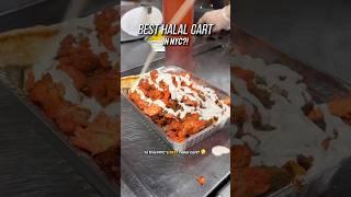 Best Halal Cart in NYC?! #foodvlog #halal #food