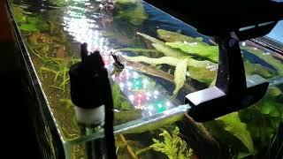 Jeneca LDJ-600 LED Aquarium light