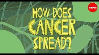 How does cancer spread through the body? - Ivan Seah Yu Jun