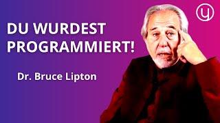 Selbstsabotage stoppen: Wie wir unsere Programmierung erkennen und neu gestalten – Dr. Bruce Lipton