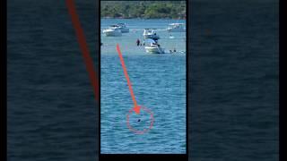I spotted something strange in the water near the Haulover Inlet sandbar. Can you tell what that is?