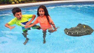 Heidi and Zidane playing with toys in the pool. | Toy crocodile!