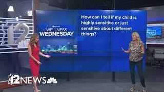 Ask the Expert: Dealing with highly sensitive children