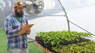 Crop Planning Tips for Market Gardening