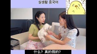 [汉语小剧场 상황극] 진짜 중국인이 말하는 중국어 95) 真的假的？진짜? 실화야?