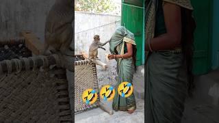 Babu Viral Video  #funnyshorts #monkeylove #funny #monkeylover #feedingmonkeys #bandermama