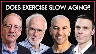 Does exercise slow aging?