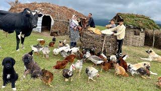 Creating Traditional Local Cheese, Baking Bread, And Cooking Fried Chicken