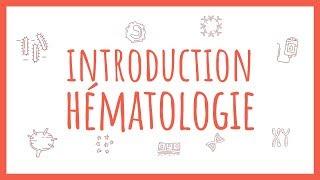 Sémiologie Clinique Hématologique - Introduction