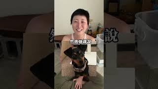 上輩子是袋鼠嗎？#寵物溝通 #動物溝通 #寵物溝通師 #動物溝通師 #寵物溝通分享 #寵物溝通師lindy