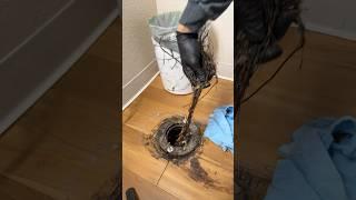 Little bit of roots and a high flange. Check out previous videos to see me lower it and reset toilet