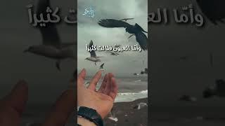 رأيت بحلمي أنا ألتقينا #الأدب_العربي