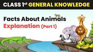 Facts About Animals (G.K) - Explanation (Part 1) | Class 1 General Knowledge (G.K)