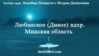 Любанское вдхр. Минская обл.