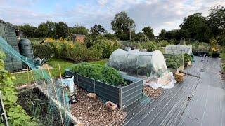 EP 37: Gardening Antics! Allotment Plot no.9