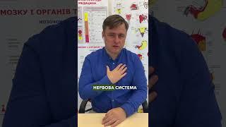 Панічні атаки 2ч. #германскаяноваямедицина #гнм #психосоматика