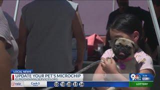 El Paso Animal Services hosts free microchipping services