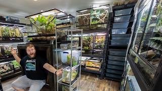 Reptile Room Tour Feb. 2025!! Enclosure by Enclosure tour!