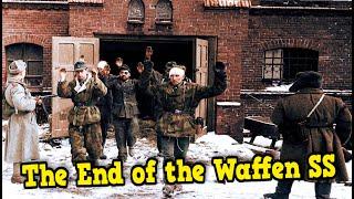 The Huge Vienna Operation 1945 | The Last Soviet Trap and the End of the Waffen SS
