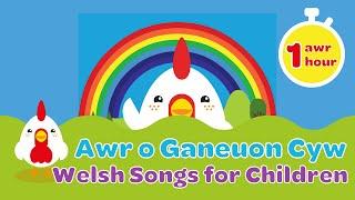 Awr o Ganeuon Cyw | Welsh Songs for Children | S4C