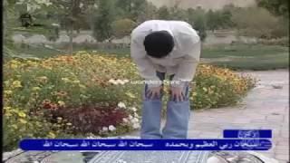 آموزش نماز ظهر - Noon Prayer Training