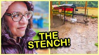 Quick & EASY Fixes for your MUDDY Chicken Run (NEW Ideas!)