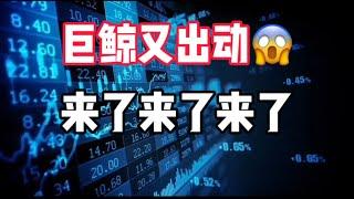 2025年3月2日｜比特币行情分析：巨鲸惊现#投資 #crypto #eth #虚拟货币 #btc #美股 #比特币