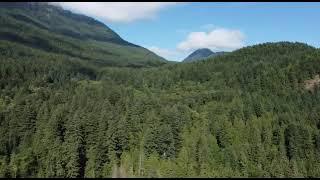 Squatch Watch Aerial