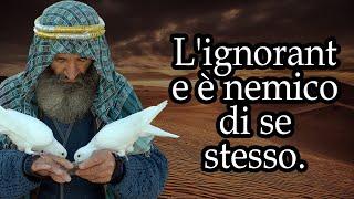 Grandi Proverbi e Saggezza del Popolo Arabo