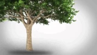 The Longevity Project Trailer.mov